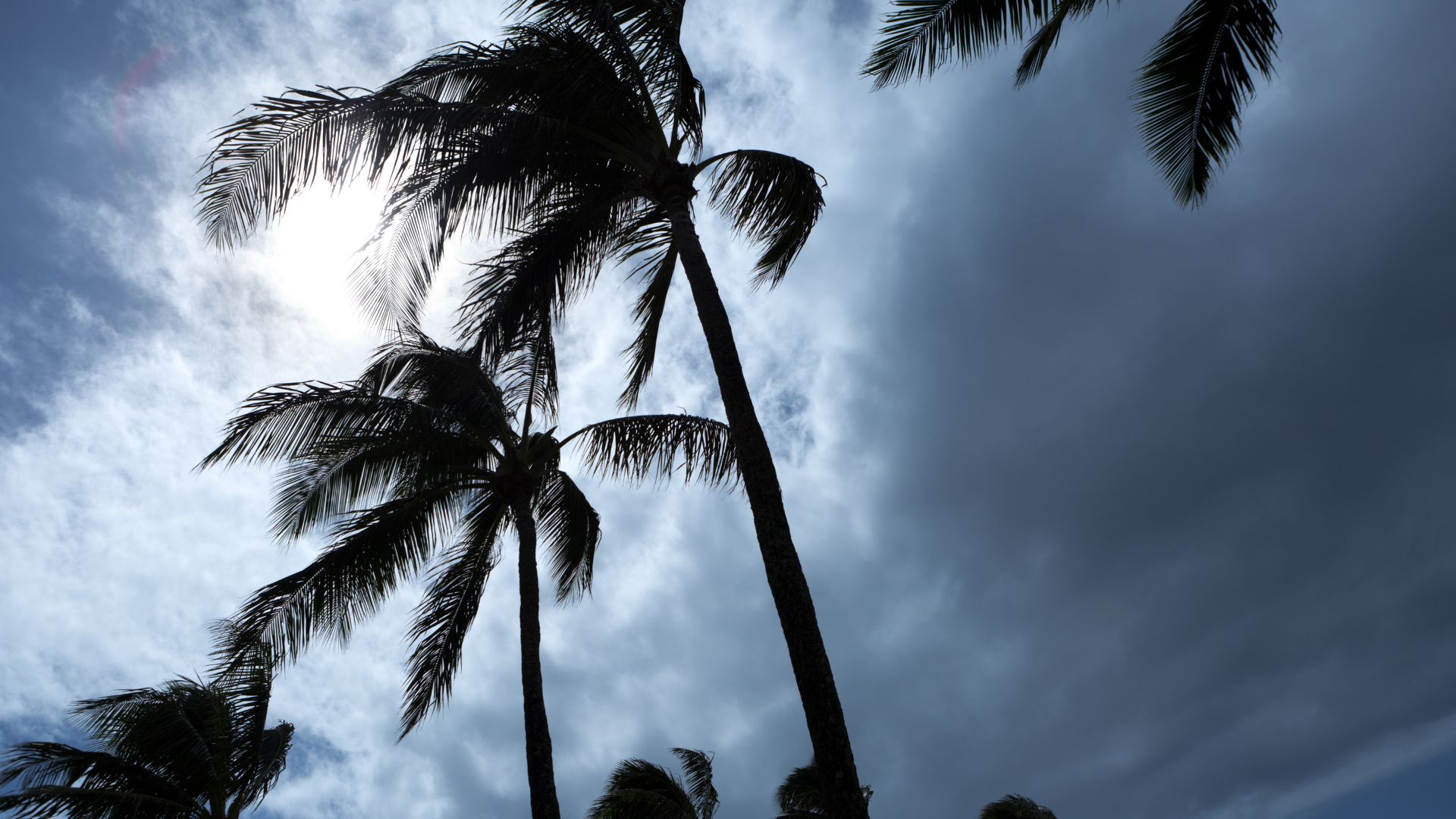 hurricane prep in collier county florida